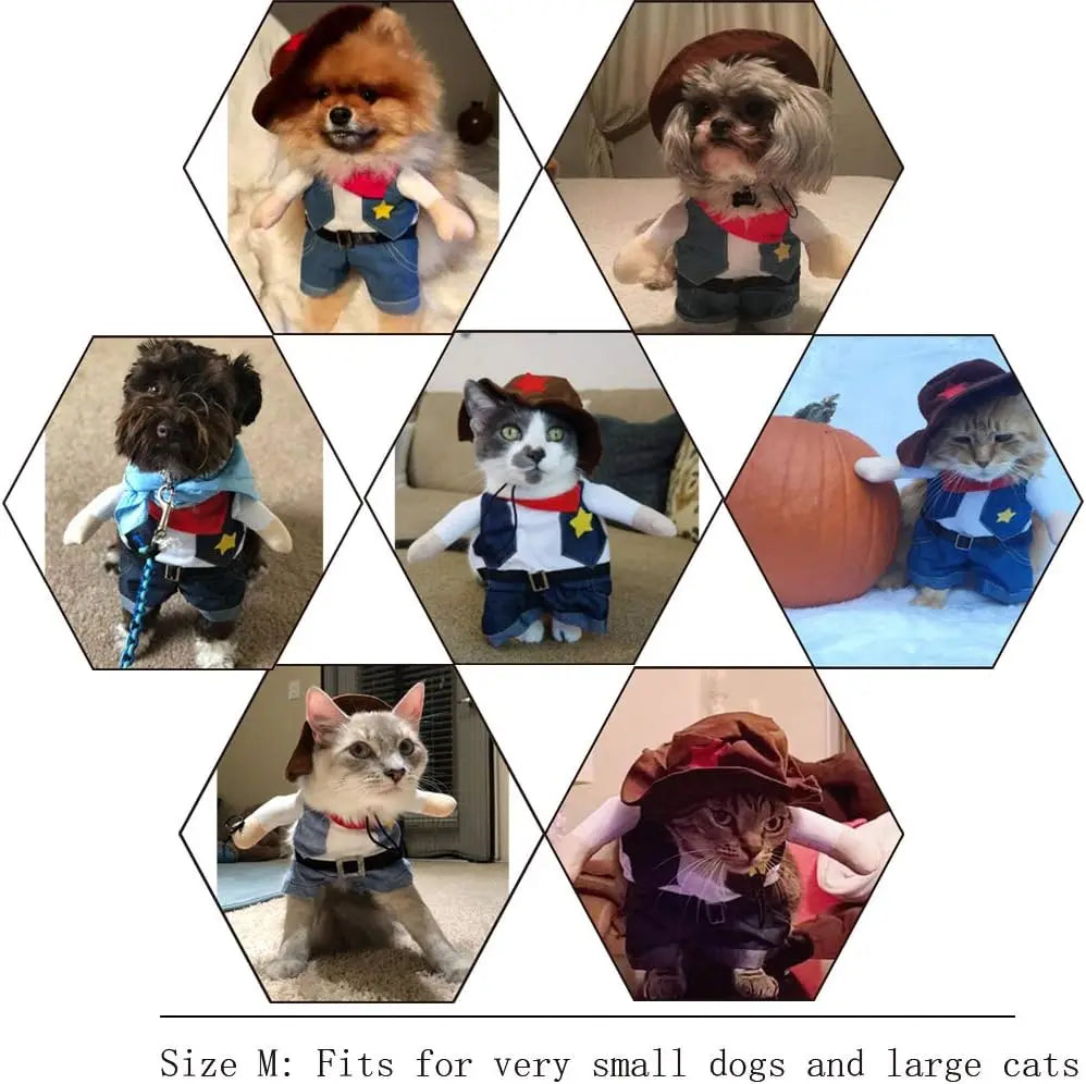 Dog & Cat Clothes — Cozy Winter Outfit