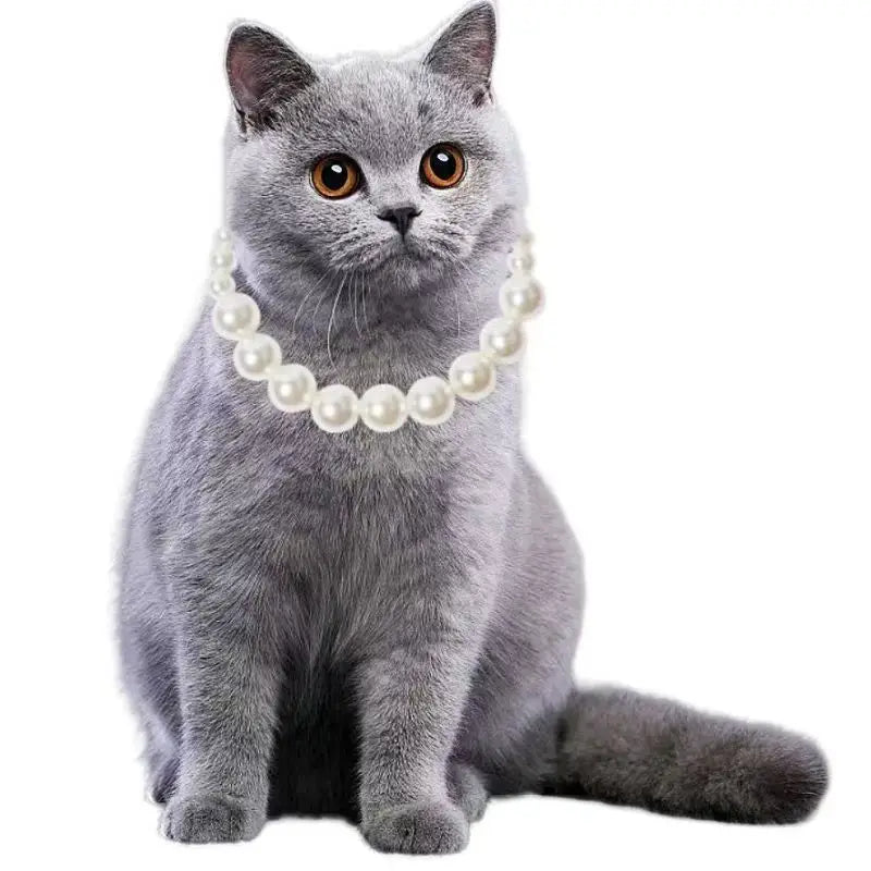 Luxury Pearl & Crystal Pet Collar — Elegant Dog & Cat