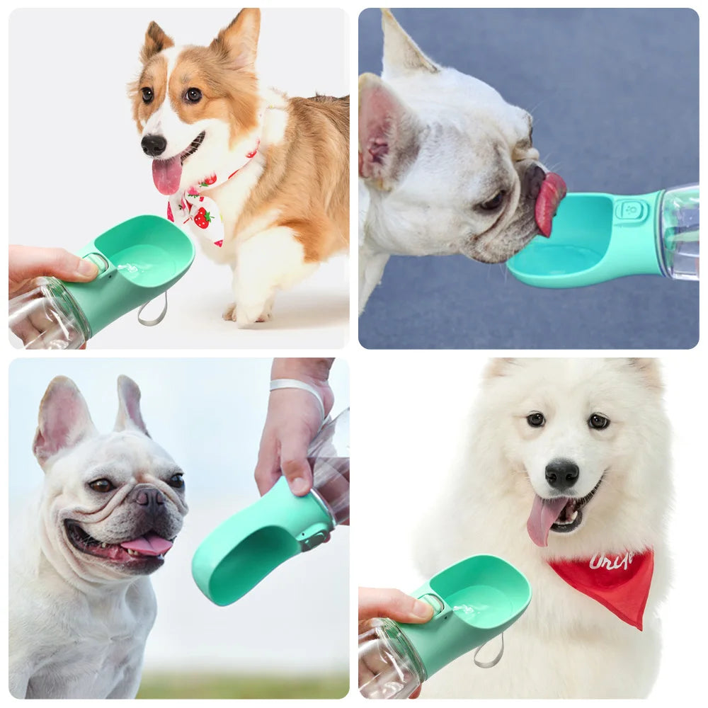 Portable Dog Water Bottle — Leak-Proof Travel Dispenser
