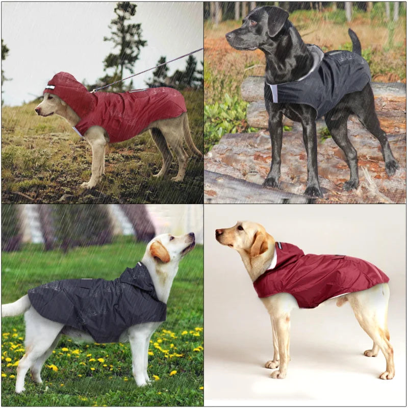 Dog & Cat Clothes — Cozy Winter Outfit