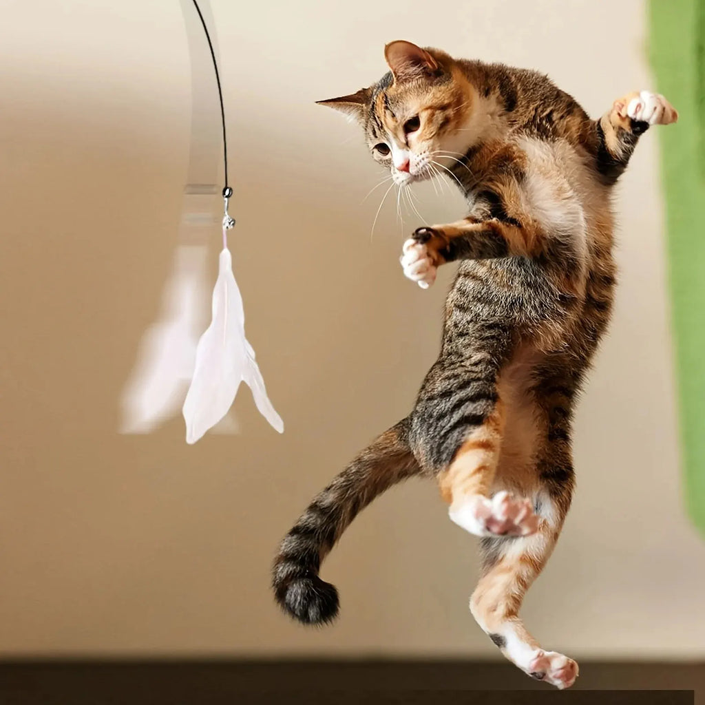 Interactive Cat Toy — Feather Wand & Suction Cup