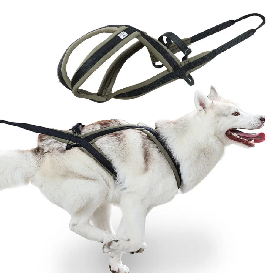 Adjustable Dog Harness — No-Pull Breathable & Reflective