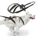 Adjustable Dog Harness — No-Pull Breathable & Reflective