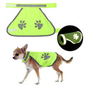 Reflective Dog Collar — High-Visibility Night Safety