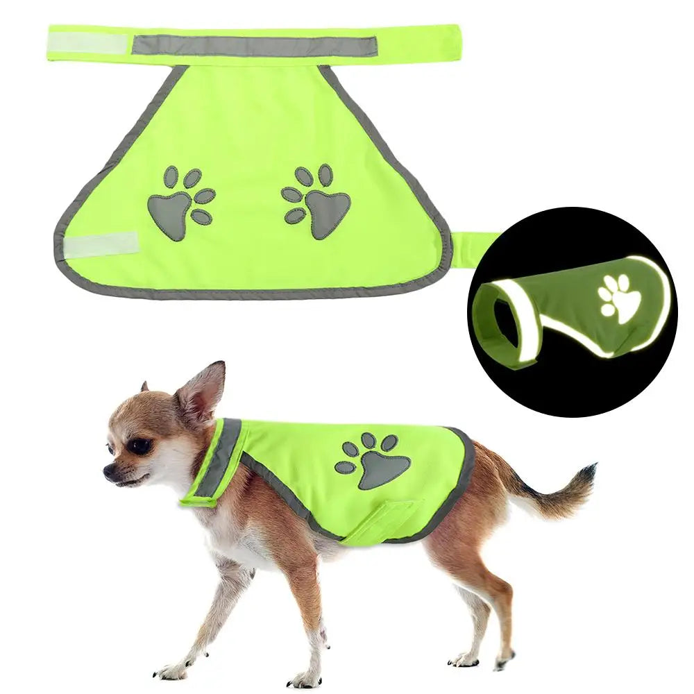 Reflective Dog Collar — High-Visibility Night Safety