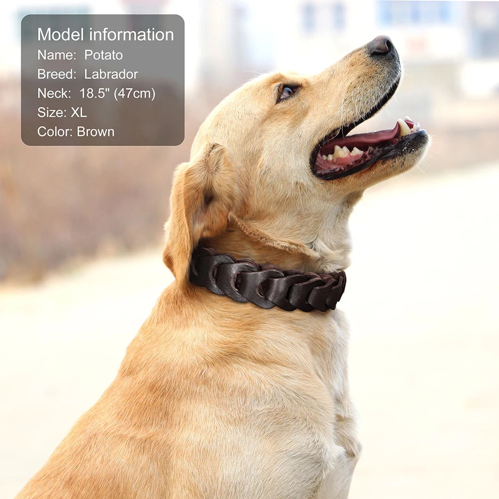 Genuine Leather Dog Collar — Durable & Stylish