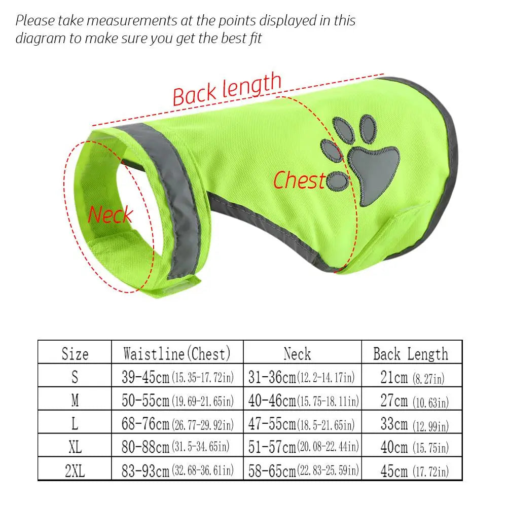 Reflective Dog Collar — High-Visibility Night Safety