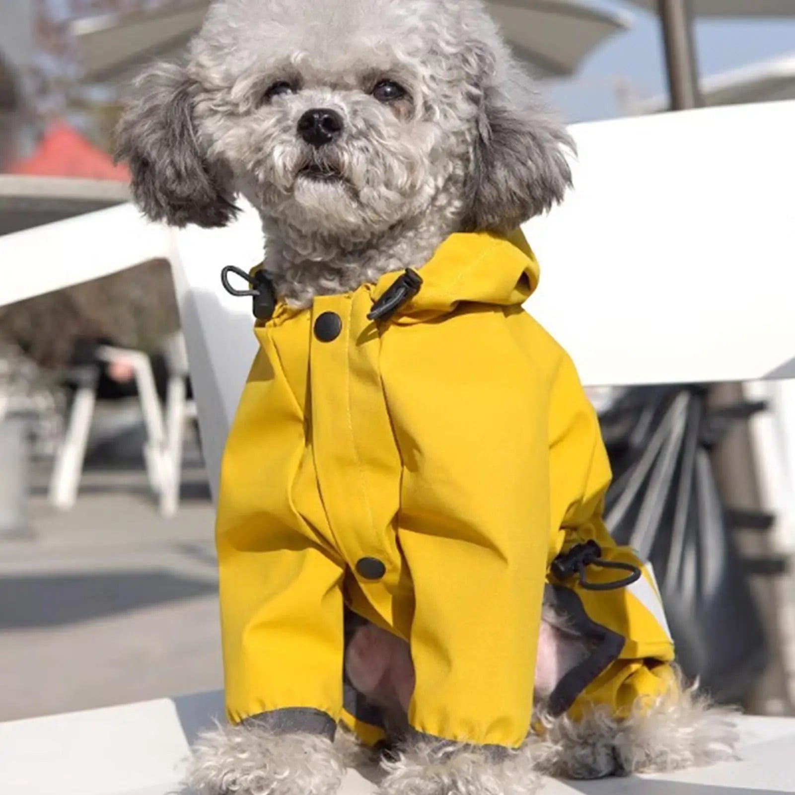 Dog & Cat Clothes — Cozy Winter Outfit