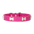 Genuine Leather Dog Collar — Durable & Stylish