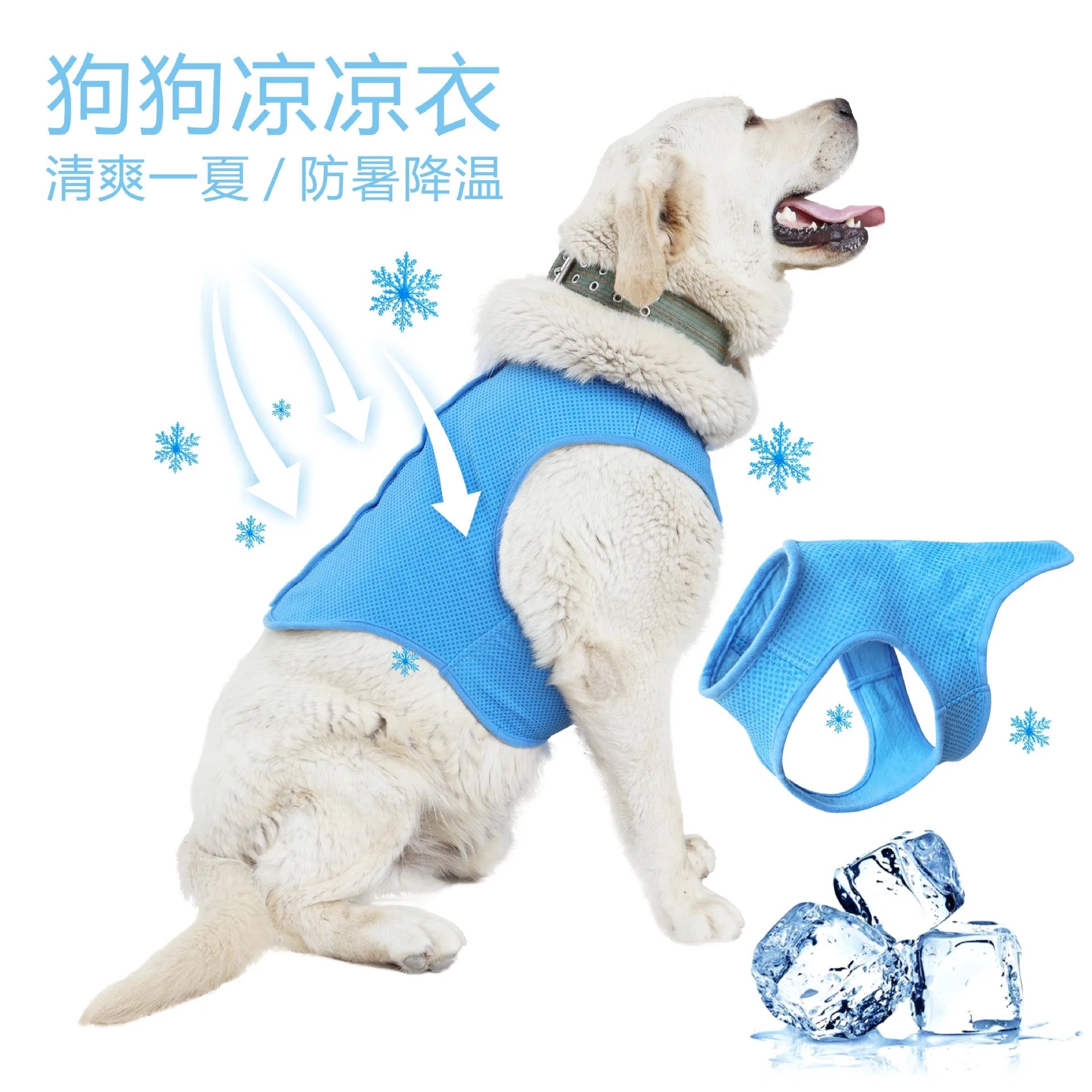 Reflective Dog Safety Vest — High-Visibility Walks