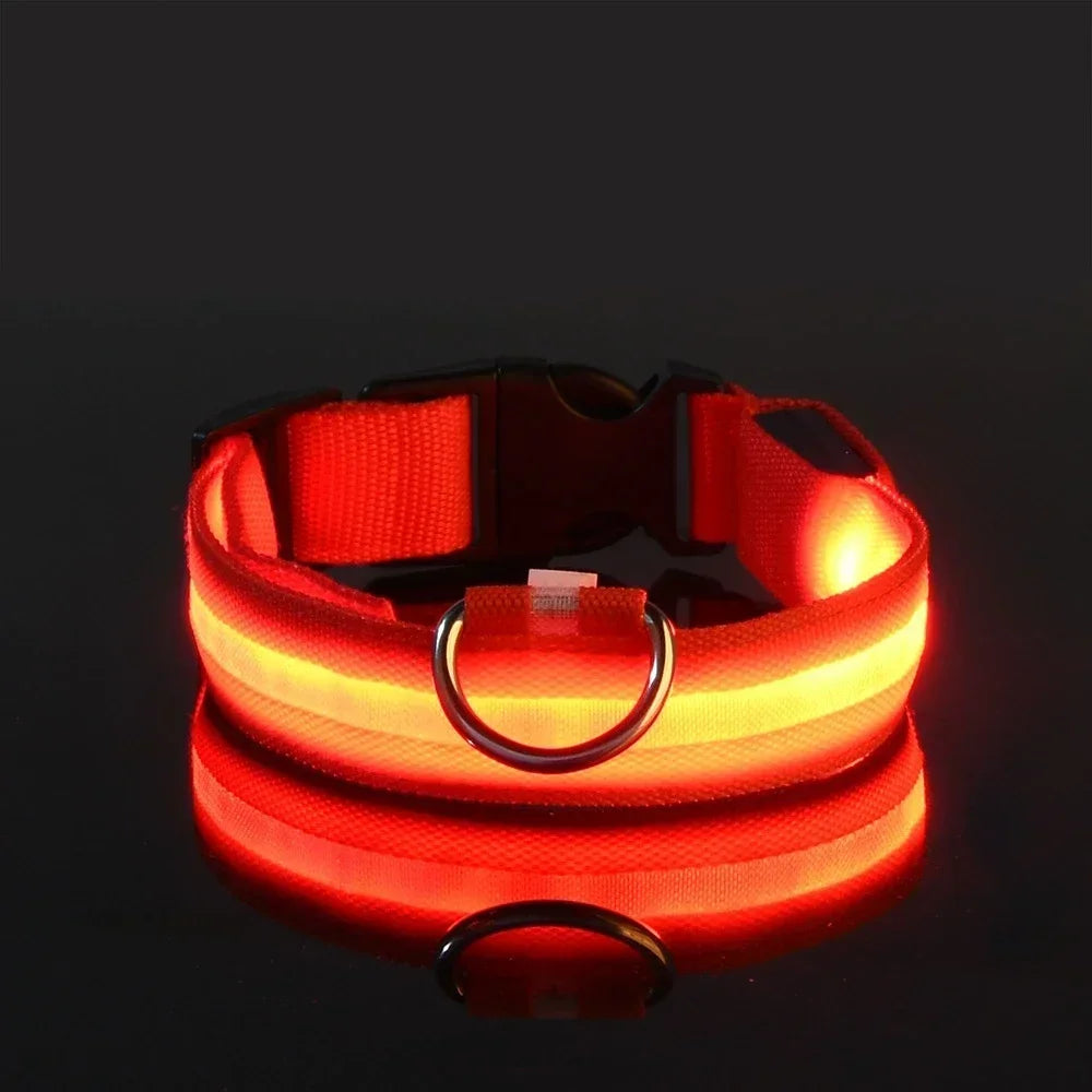 LED Light-Up Dog Collar — USB Rechargeable Night Safety