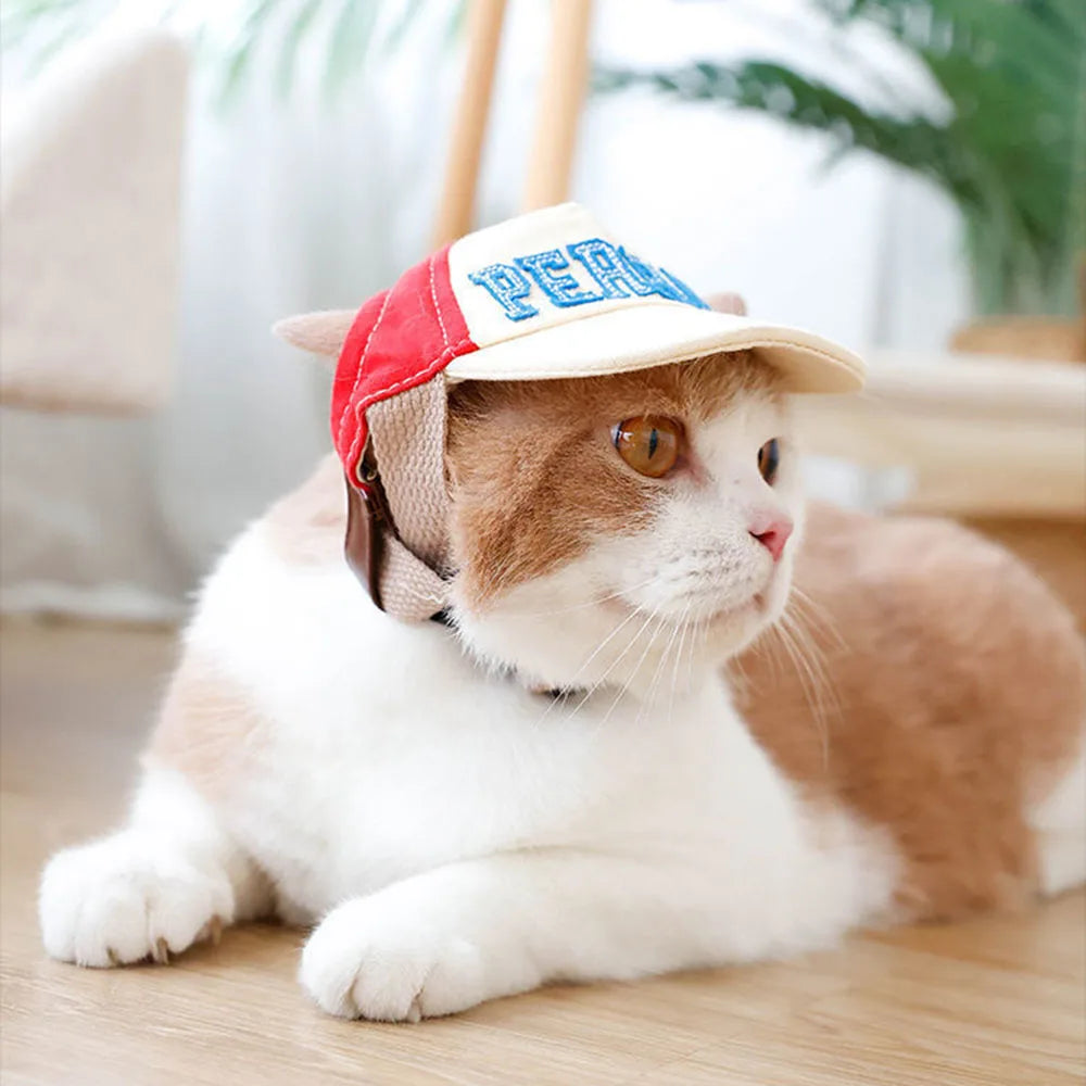 Dog Sun Hat — UV Protection Summer Pet Visor