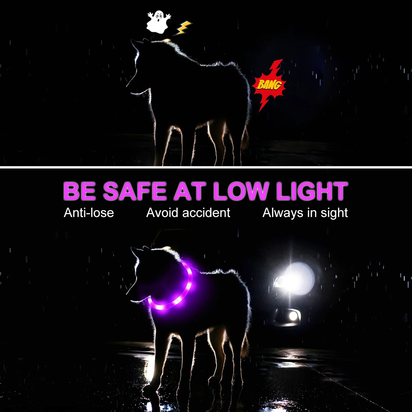 LED Light-Up Dog Collar — USB Rechargeable Night Safety