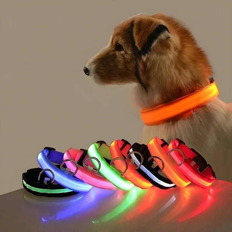LED Light-Up Dog Collar — USB Rechargeable Night Safety