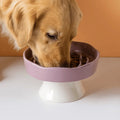 Collapsible Dog Bowl — Portable Travel Pet Feeder