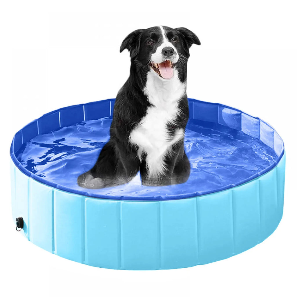 Inflatable Dog Pool — Summer Splash Pad for Pets