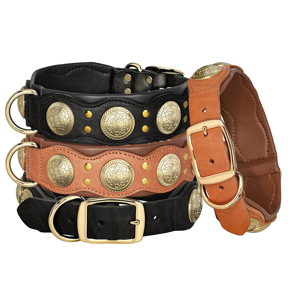 Genuine Leather Dog Collar — Durable & Stylish