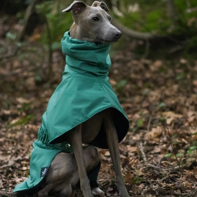 Dog & Cat Clothes — Cozy Winter Outfit