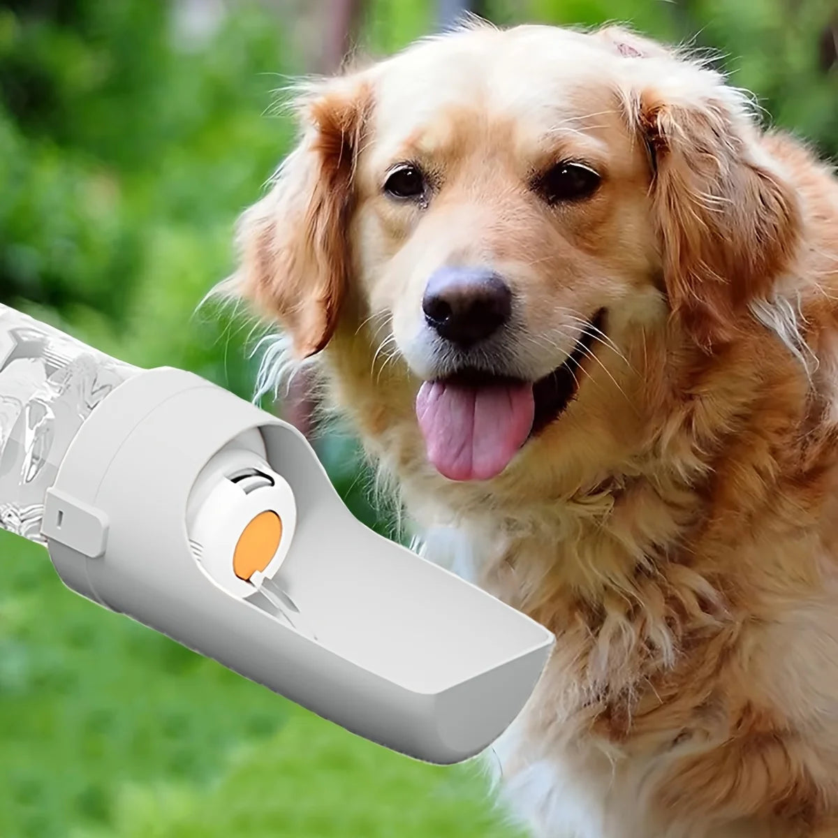 Portable Dog Water Bottle — Leak-Proof Travel Dispenser