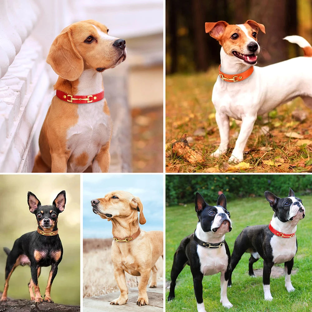 Genuine Leather Dog Collar — Durable & Stylish