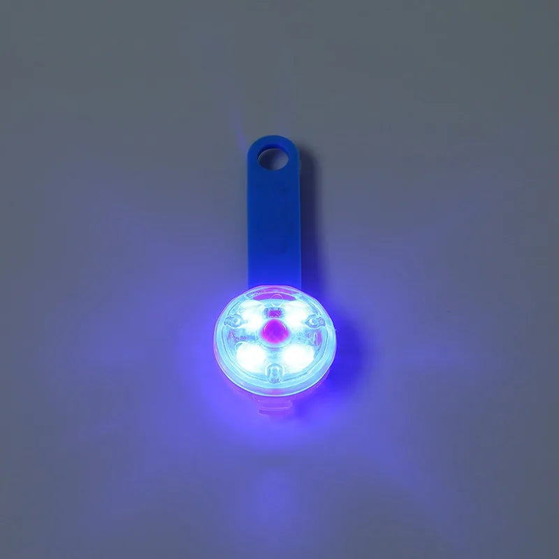 LED Light-Up Dog Collar — USB Rechargeable Night Safety