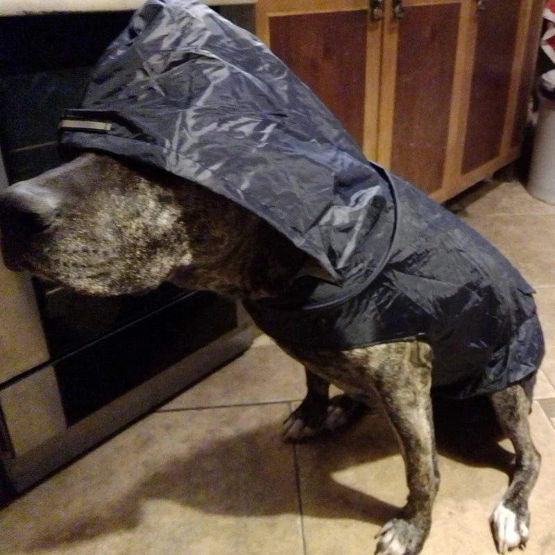 Dog & Cat Clothes — Cozy Winter Outfit