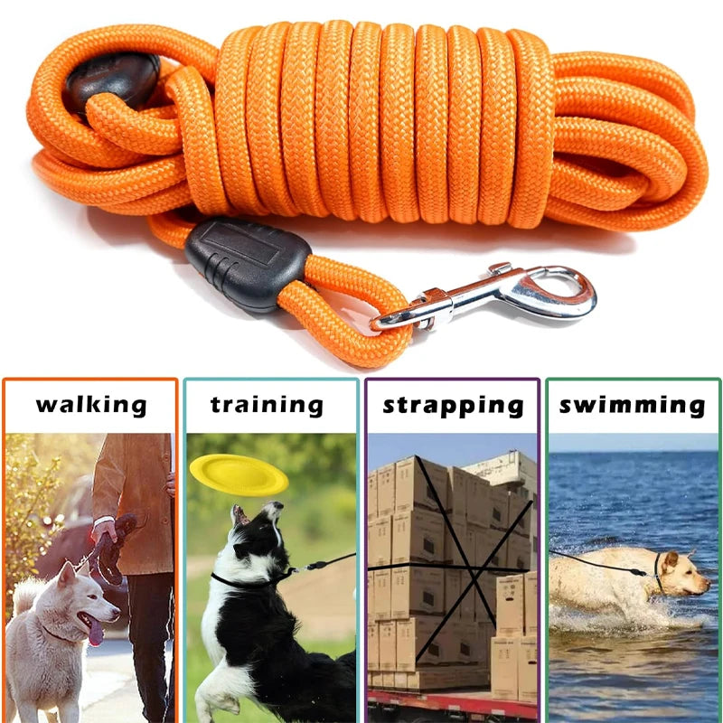 5M Retractable Dog Leash — Long Range Freedom Walk