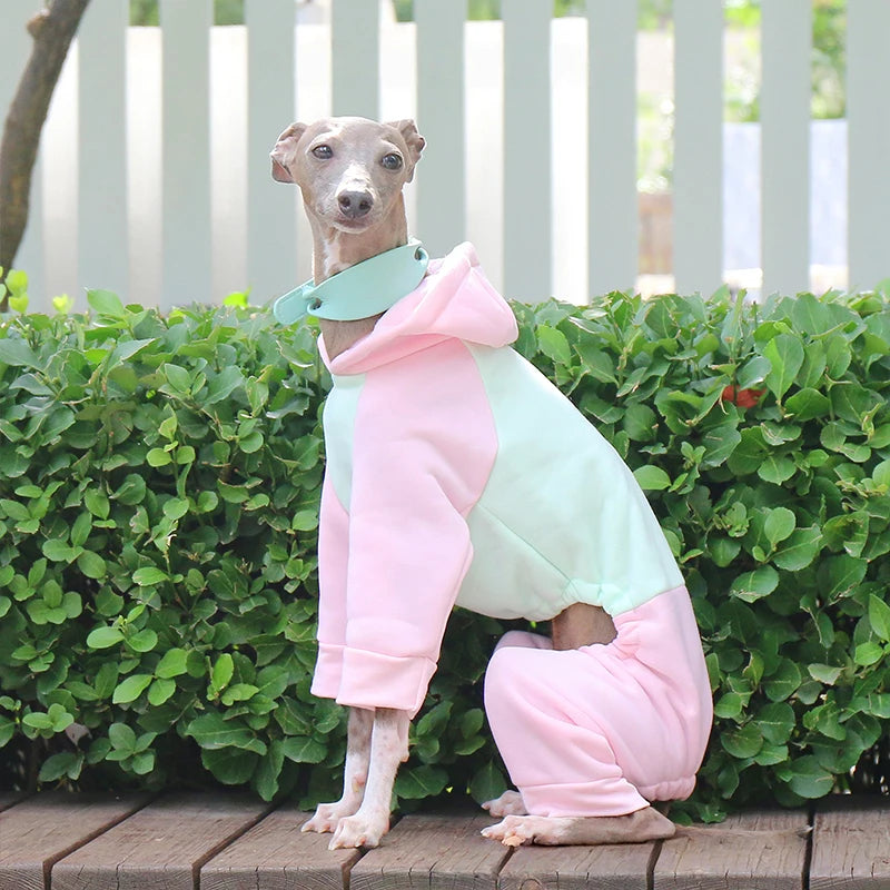Dog & Cat Clothes — Cozy Winter Outfit