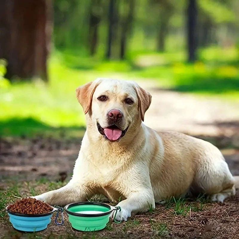 Collapsible Dog Bowl — Portable Travel Pet Feeder