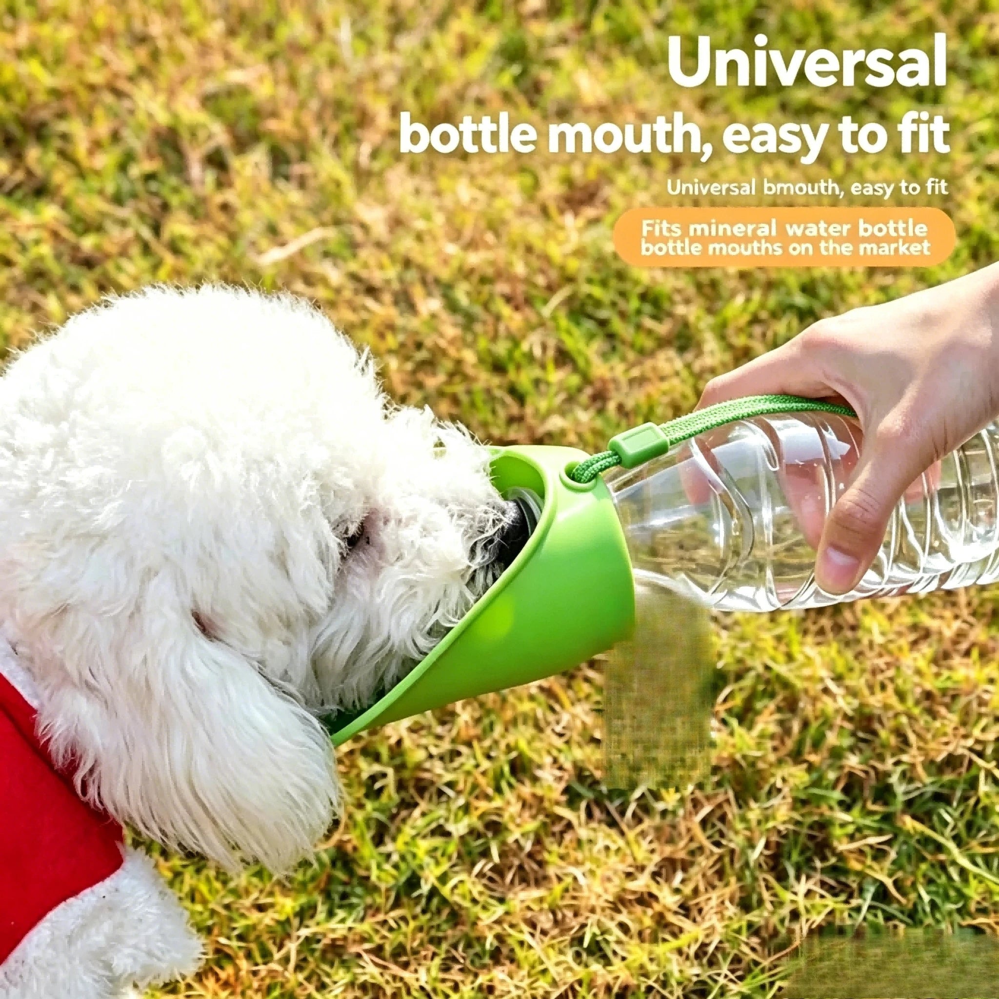 Portable Dog Water Bottle — Leak-Proof Travel Dispenser