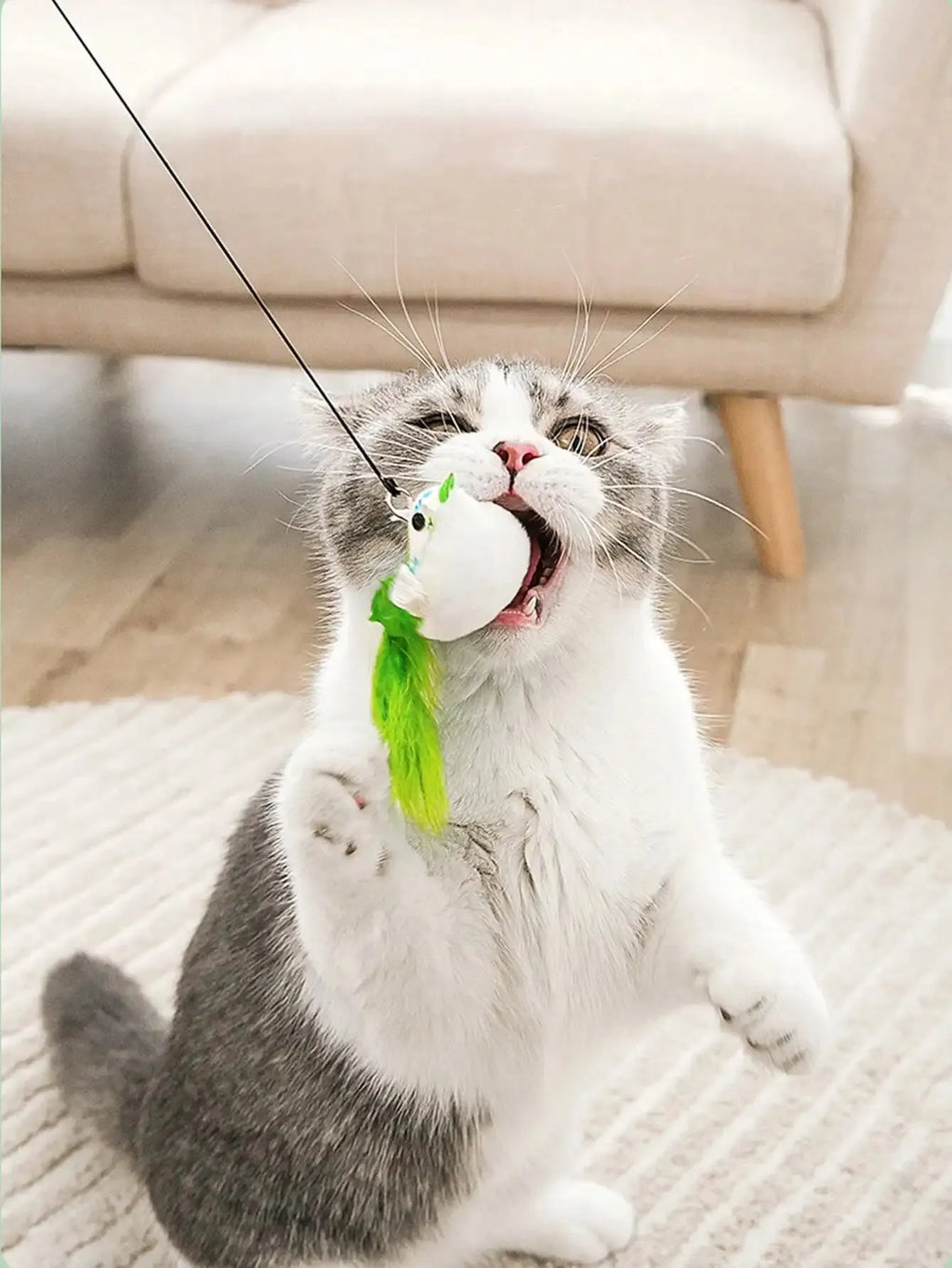 Interactive Cat Toy — Feather Wand & Suction Cup