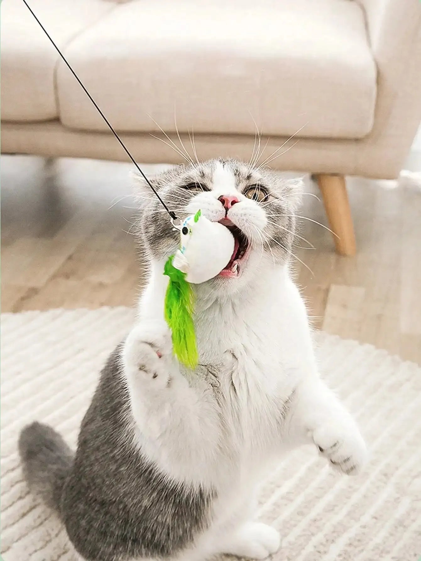 Interactive Cat Toy — Feather Wand & Suction Cup