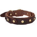 Genuine Leather Dog Collar — Durable & Stylish