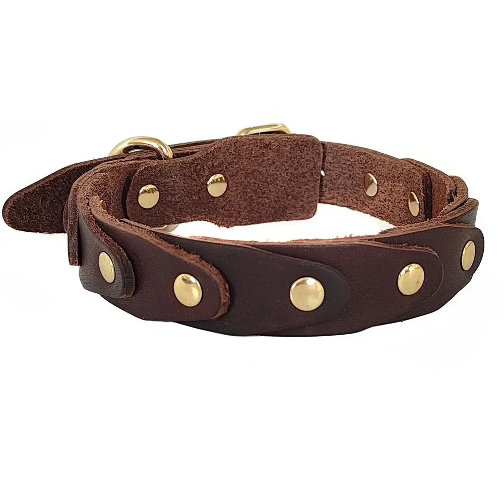 Genuine Leather Dog Collar — Durable & Stylish