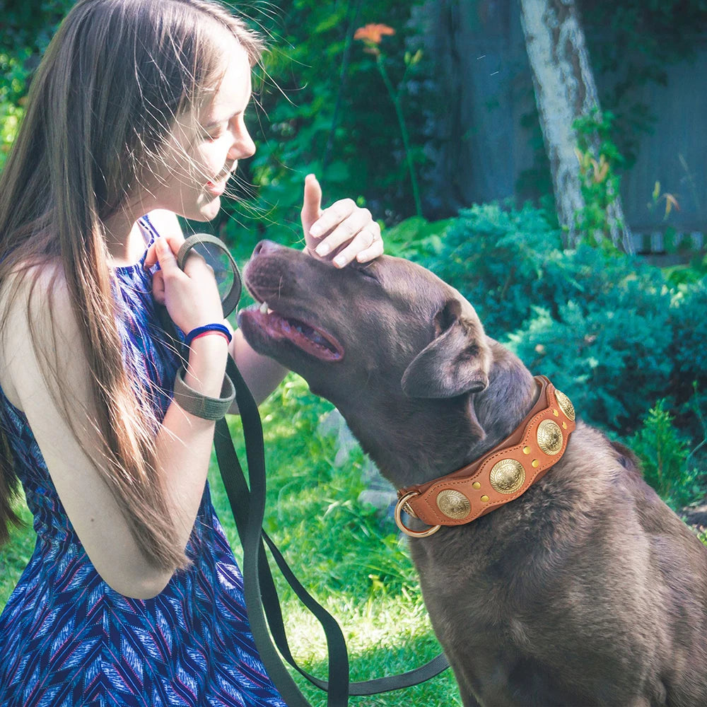 Genuine Leather Dog Collar — Durable & Stylish