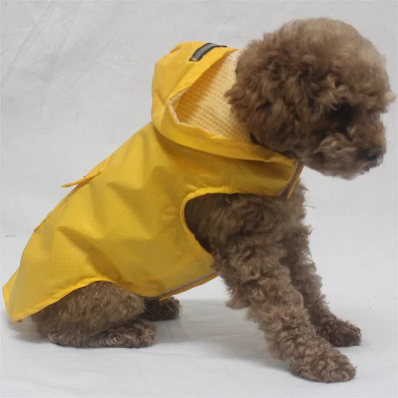 Dog & Cat Clothes — Cozy Winter Outfit