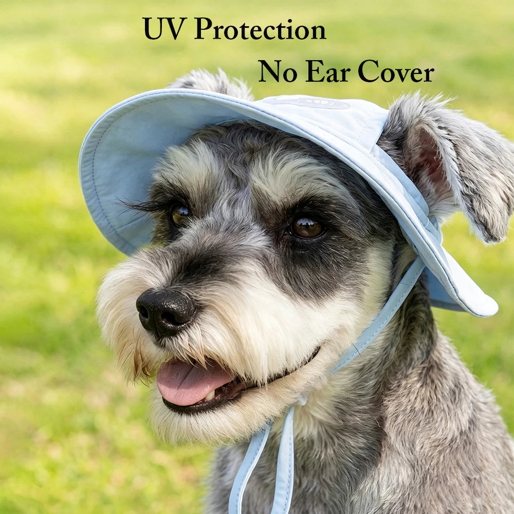 Reflective Dog Safety Vest — High-Visibility Walks