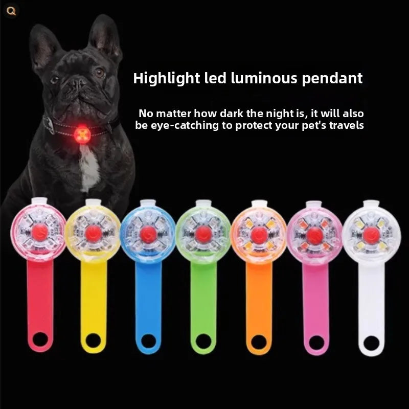 LED Light-Up Dog Collar — USB Rechargeable Night Safety