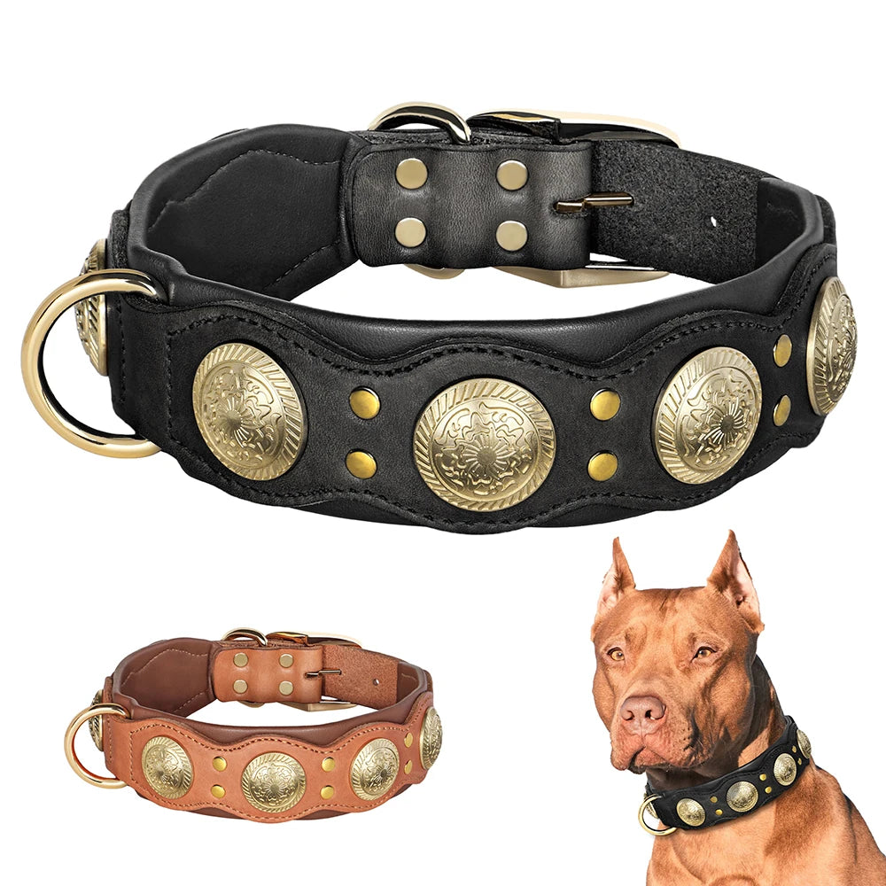 Genuine Leather Dog Collar — Durable & Stylish