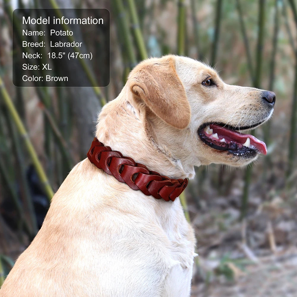 Genuine Leather Dog Collar — Durable & Stylish