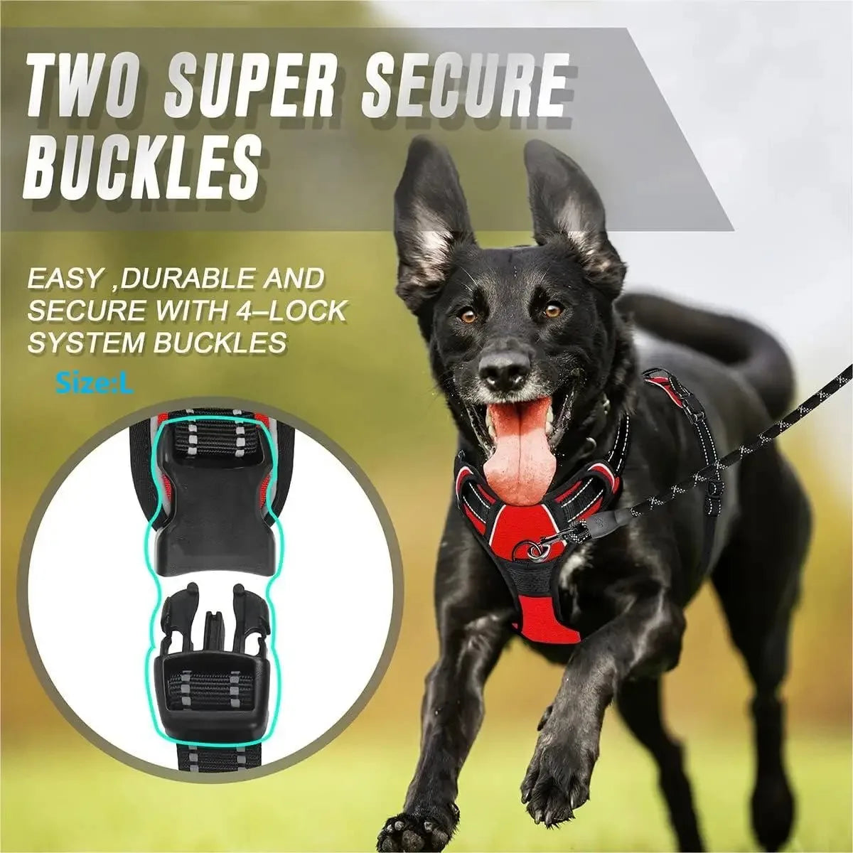 Parisian No-Pull Dog Harness — Adjustable & Escape-Proof