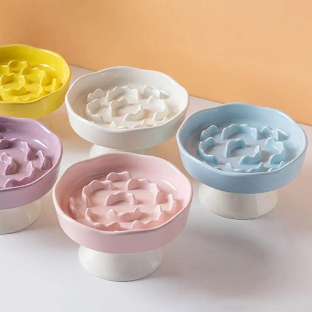Collapsible Dog Bowl — Portable Travel Pet Feeder