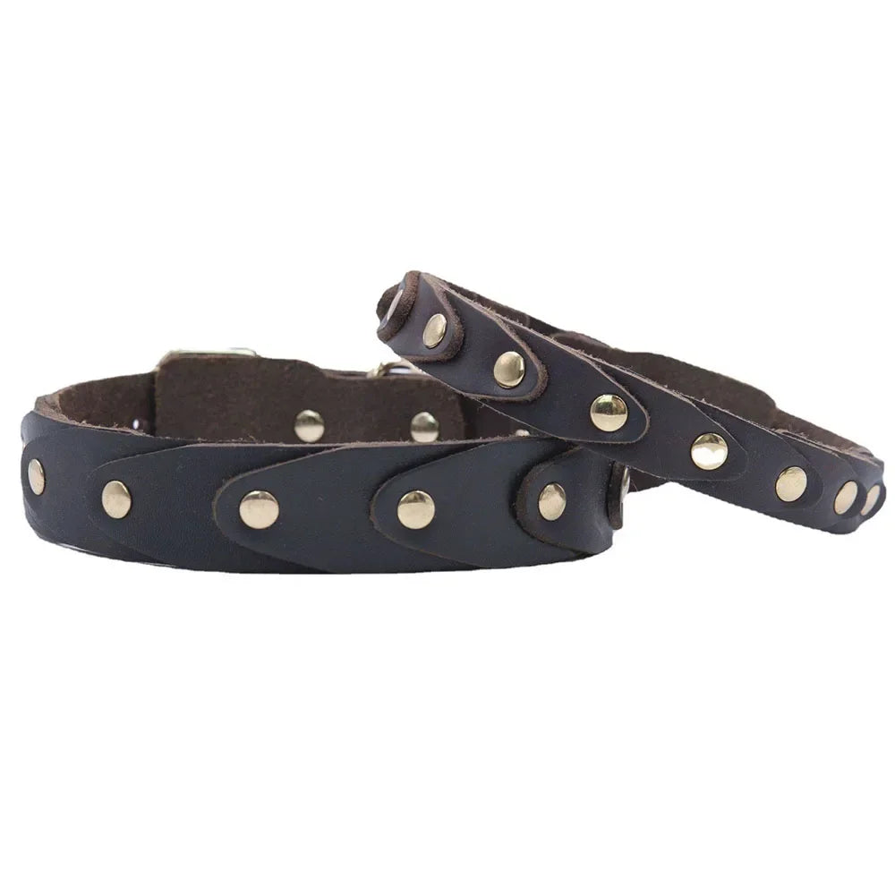 Genuine Leather Dog Collar — Durable & Stylish