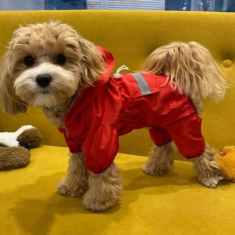 Dog & Cat Clothes — Cozy Winter Outfit