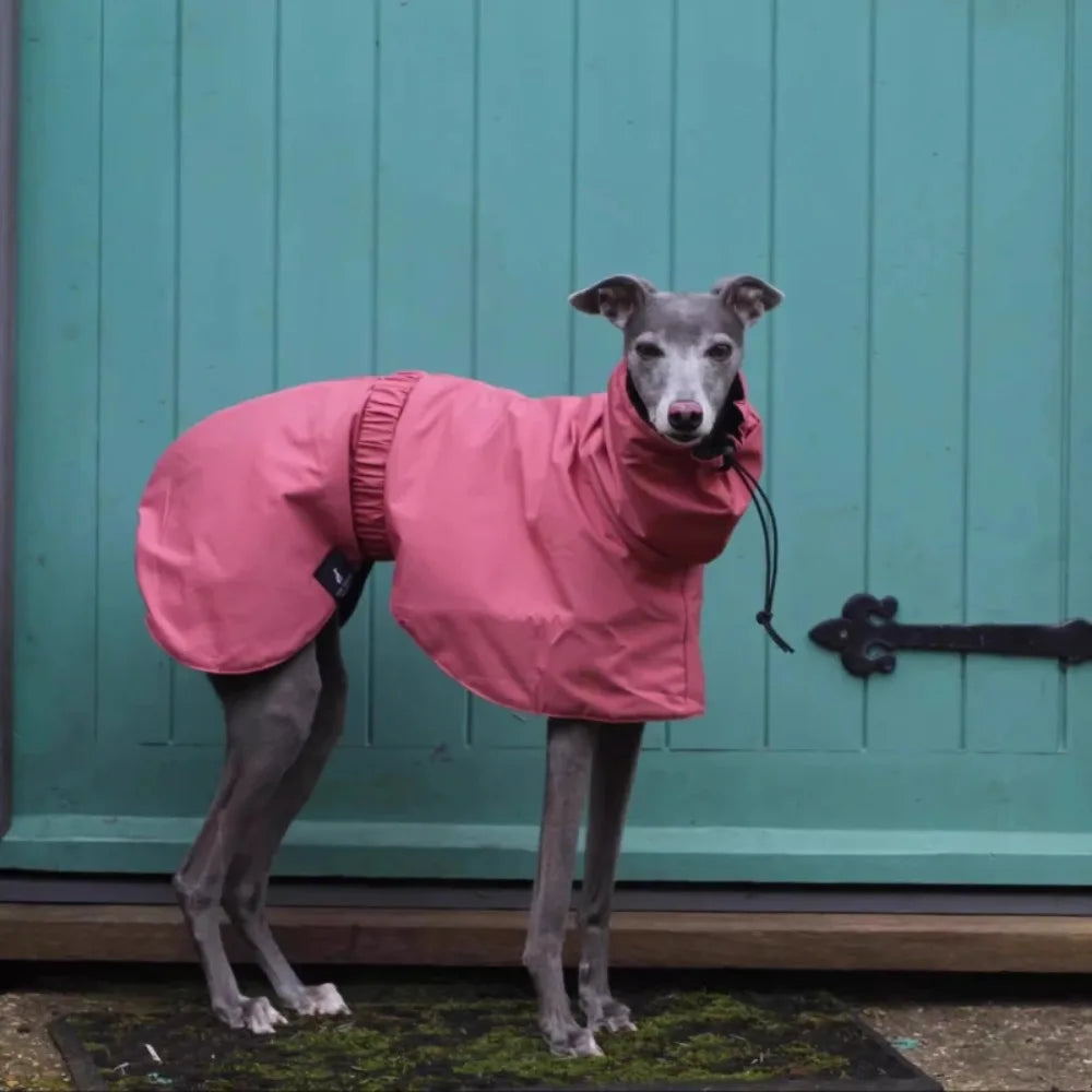 Dog & Cat Clothes — Cozy Winter Outfit
