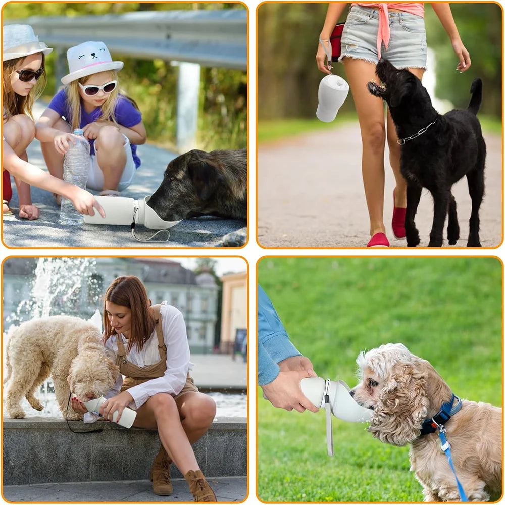 Portable Dog Water Bottle — Leak-Proof Travel Dispenser
