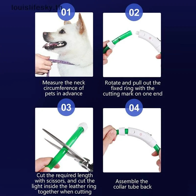 LED Light-Up Dog Collar — USB Rechargeable Night Safety