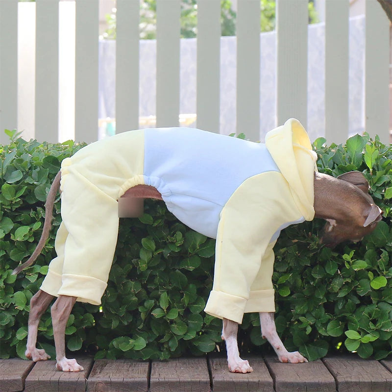Dog & Cat Clothes — Cozy Winter Outfit