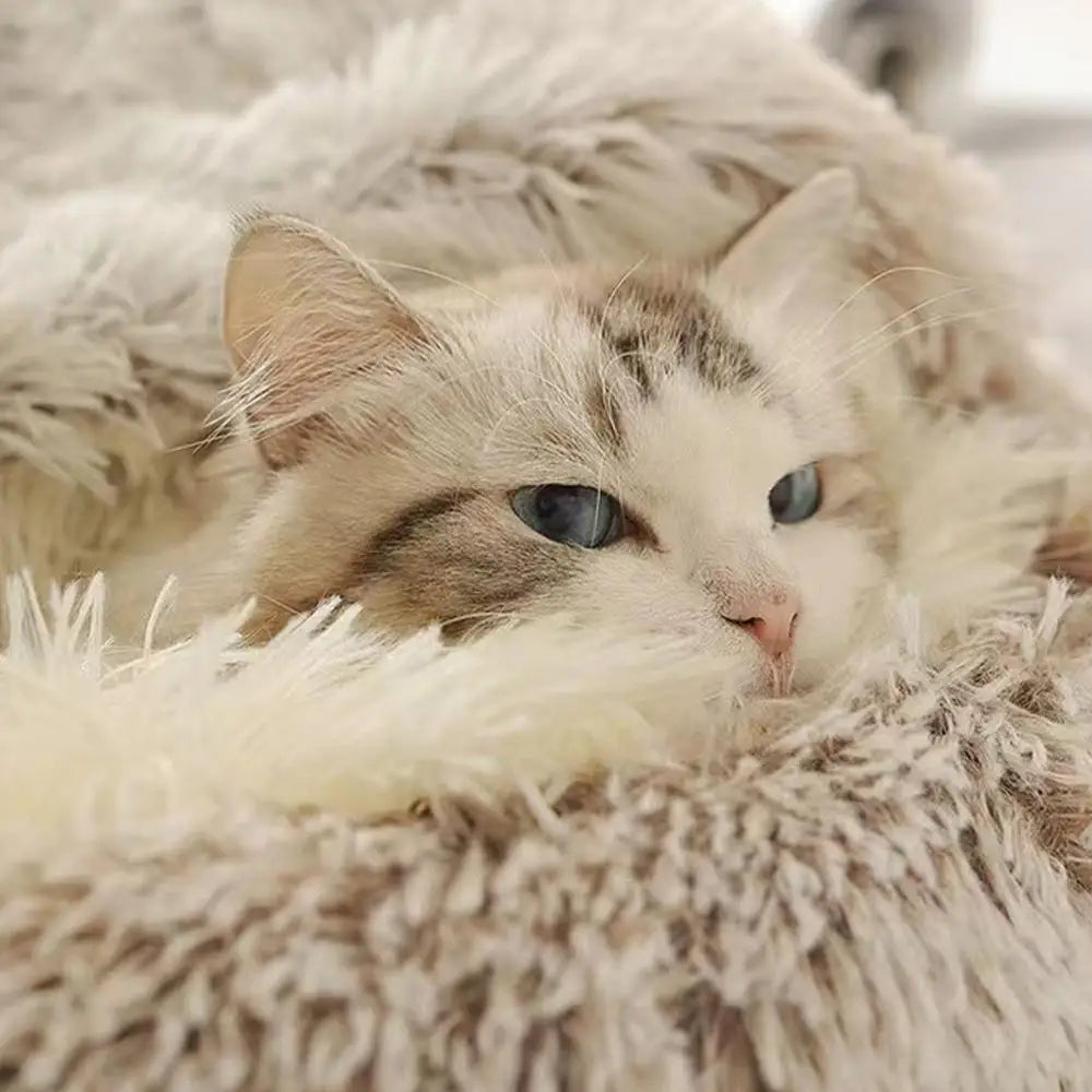 Plush Pet Bed for Cats & Dogs — Ultra-Soft Washable