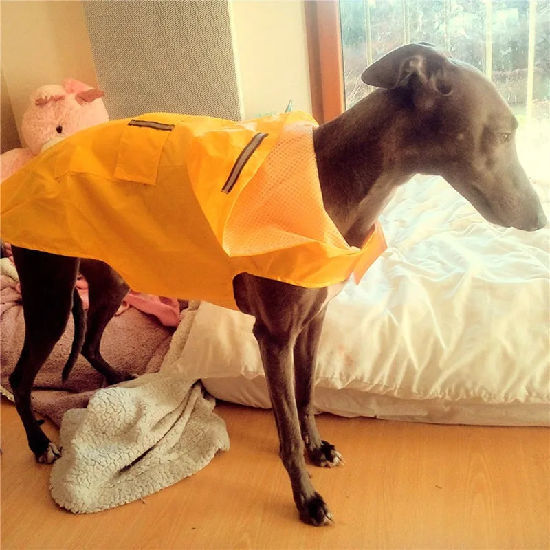 Dog & Cat Clothes — Cozy Winter Outfit